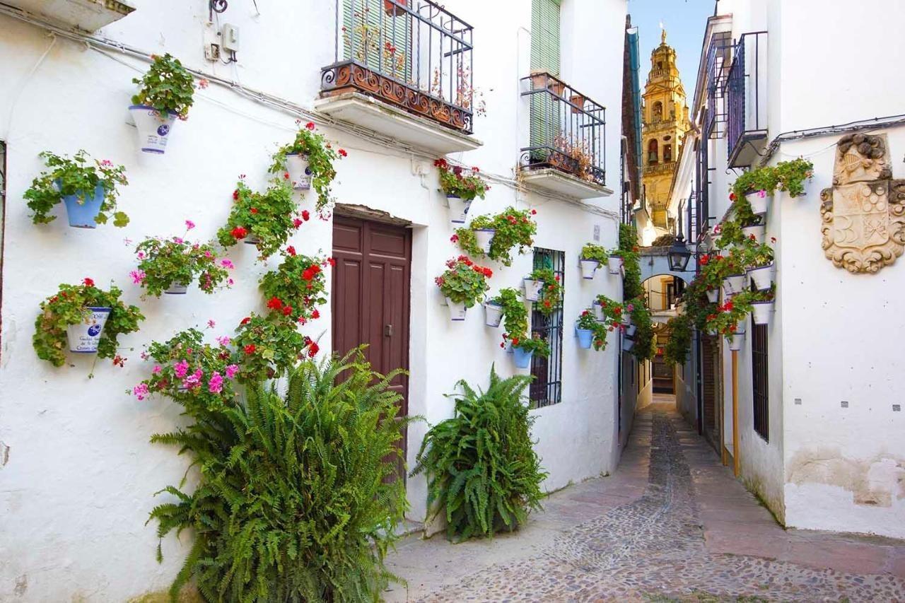 Tandem Torre De La Calahorra Daire Cordoba Dış mekan fotoğraf